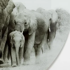 Shop Wandfoto Elephant Walk Ø120cm Kasten|Tuinmeubelen