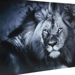 Store Wandfoto Glass Lion King Lying 120x160cm Wanddecoratie|Kasten