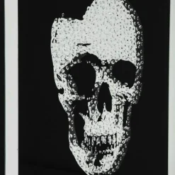 Best Wandfoto Skull 100x100cm Wanddecoratie|Kasten